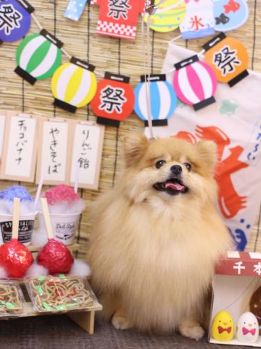 20240707梛都ちゃん